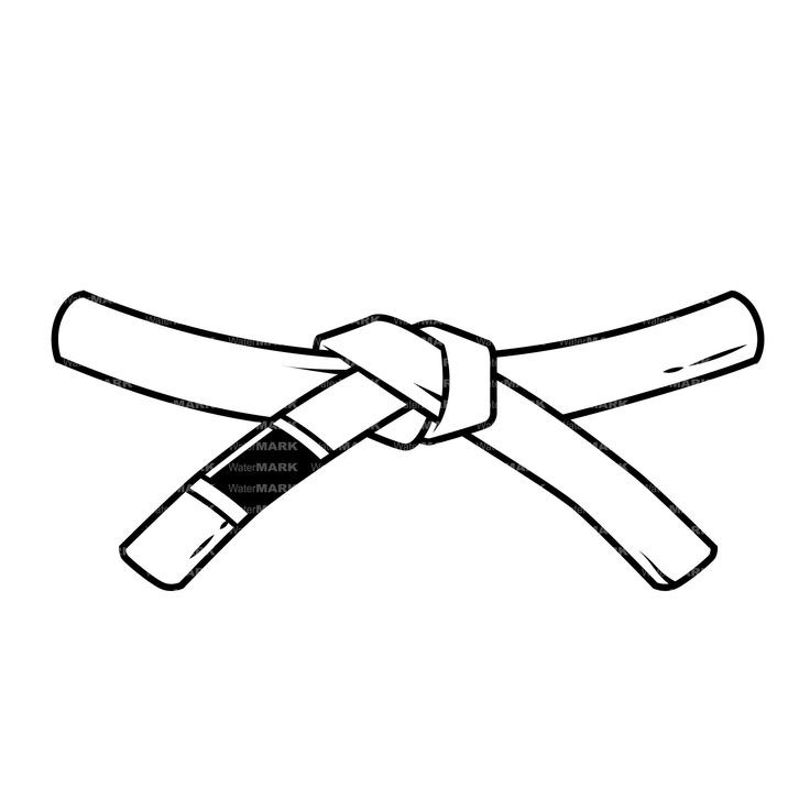 Jiujitsu belt.jpg|244